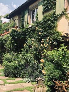 Maisons de vacances Le voyage d'UBUNTU : photos des chambres