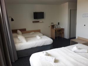 Hotels Le Felicien : photos des chambres