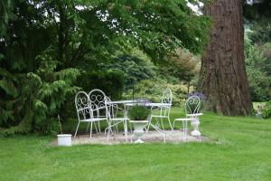 B&B / Chambres d'hotes Chambres d'Hotes & Gites La Chatellenie : photos des chambres
