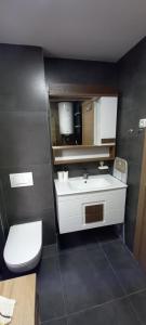 Zlatibor apartmani centar