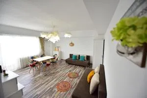 FLH - Mountain View Apartment - 锡比乌