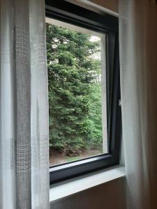 Waldurlaub Klingelborn im Sauerland