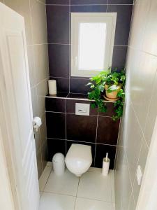 VILLA 6 PERSONNES PISCINECAMPAGNETERRAIN DE PETANQUE15 km BANDOL