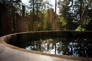 Maisons de vacances Bain de foret - Lodges Cosy & Spa : photos des chambres