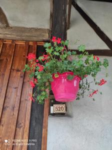 Appartements Gite de peupliers : photos des chambres