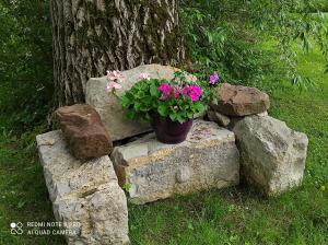 Appartements Gite de peupliers : photos des chambres