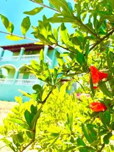 Green Hill House - Prinýlas