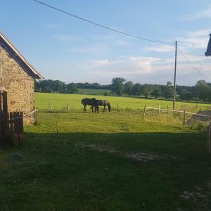 Appartements accommodation a la ferme - appartement et mobilhome : photos des chambres