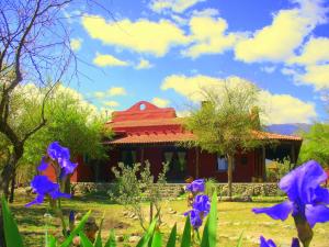 Cabañas en Piedras Maia