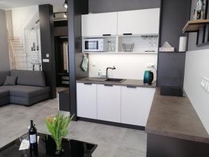 Noce w Jelonce - Nowoczesny Apartament typu Studio w Centrum Jeleniej G - z garażem dla 1-4 osób