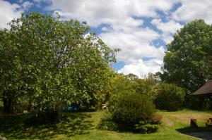 Maisons de vacances Gite l'appel de la Foret : photos des chambres