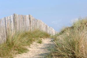 Hotels Hotel de la Plage : photos des chambres