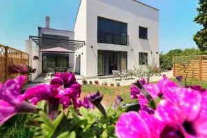 Papillon i Dolce Vita - (( Velovići ))