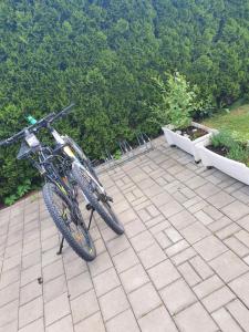 Ferienwohnung Alpen Sunshine Füssen