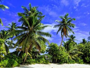 Chalets dAnse Forbans SelfCatering