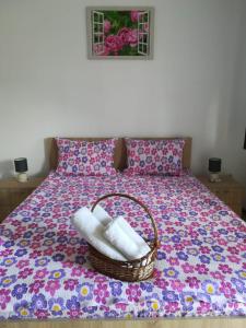 Family Room room in Casa Corina
