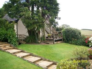 Frogwell