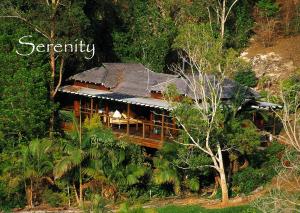 Wollumbin Palms Rainforest Retreat