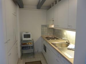 Studio Galeriestudio Jungfraublick by Interhome