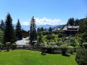 Apartment Sapin Bleu 6 by Interhome