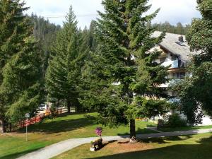 Apartment Val Signina-1 by Interhome