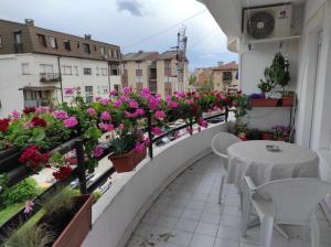 Apartman Aleksandra