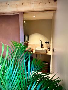 B&B / Chambres d'hotes Villa Louisa : photos des chambres