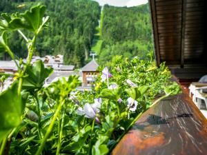 Apartment Gipfelkreuz by Interhome