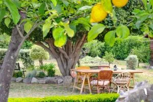 La Casa di Lina - Capo d'Orlando, casa con ampio giardino - Capri Leone