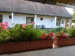 Teréz Háza - Nadap