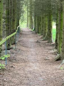 Apartmán Brčálník Šumavské Stráně