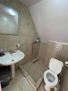 Casa Wiesmann Băile Felix