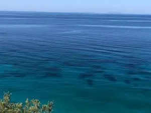 Tophill Apartments - Piqeras