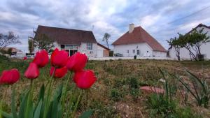 Appartements Domaine Ravy-Magnolia : photos des chambres