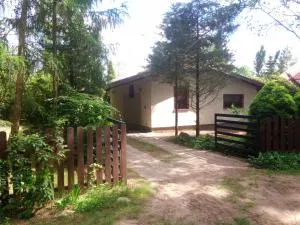 Bory Tucholskie Domek Starzyska - Osówek