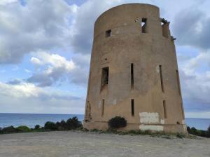 Sa Teria Village - Appartamenti - img53