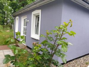 Ferienwohnungen am Rosenhof