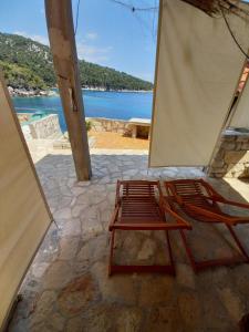 Robinson Medvidina Small room