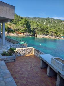 Robinson Medvidina Small room