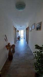 Apartment PinoAppLosinj