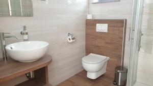 Apartments Vila Darja