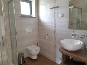 Apartments Vila Darja