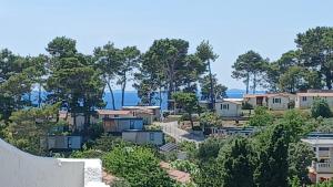 Apartments & rooms Mila