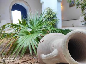 villa la rose des sables