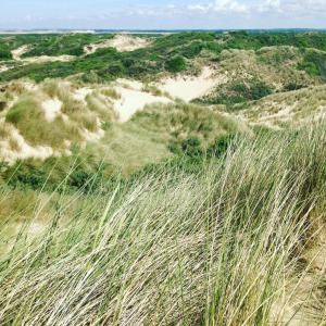 Maisons de vacances La Longere a la Mer 6 pers 3 chambres grand jardin clot a Fort-Mahon-Plage : photos des chambres