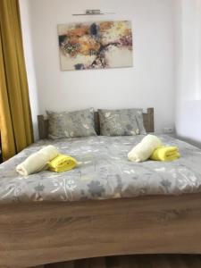 Apartment - Nane 2 - Krushevo