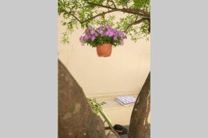 Family home w. yard in Beating Heart of Old Town