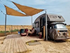 Sherman's place - שרמנ'ס פלייס - Sharsheret C