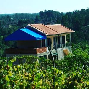 Quinta do Mineiro-Serra da Estrela