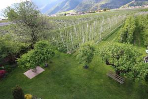 Apartment mit 2 Schlafzimmern und Bergblick